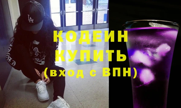крисы Бородино
