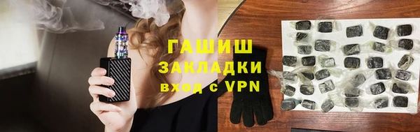 крисы Бородино