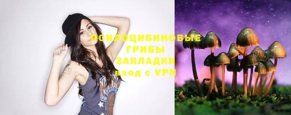 ешки Волосово