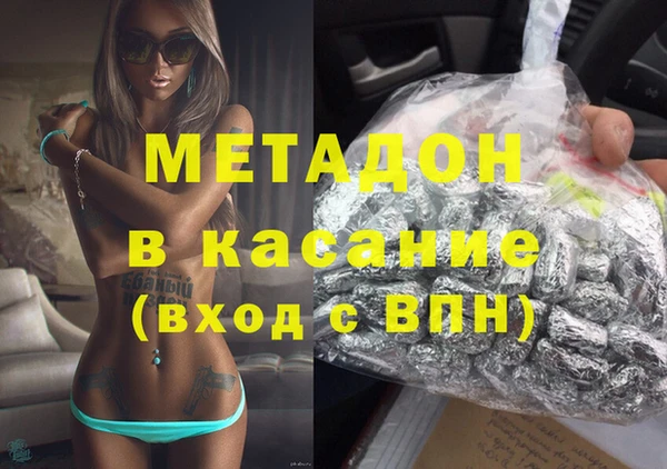 крисы Бородино