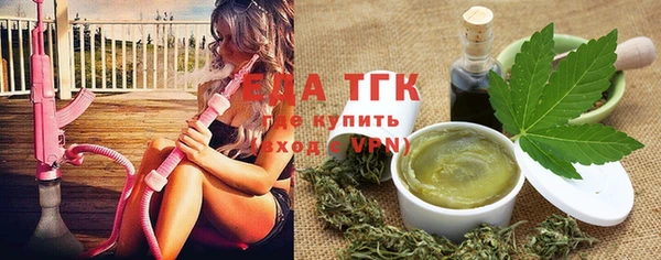 крисы Тайга