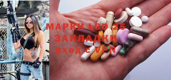 гидра Богданович