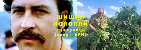 ECSTASY Тавда