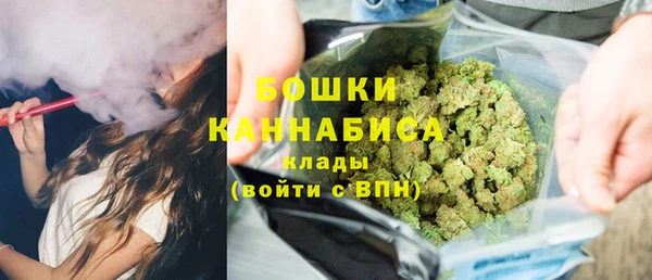 крисы Бородино