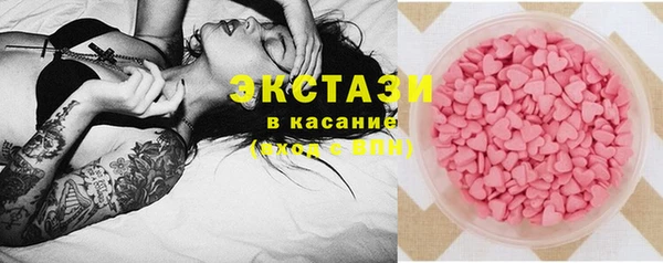 крисы Бородино
