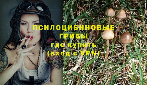 гидра Бронницы