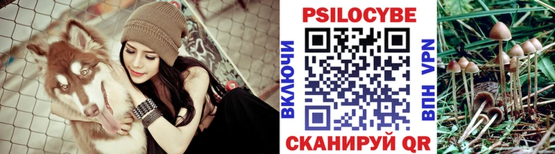 shop как зайти  цены наркотик  Жуковка  Псилоцибиновые грибы Cubensis 